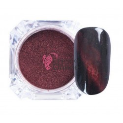 Pigment pentru unghii NADP001FF Amelie cu pulbere de magnet 2gr